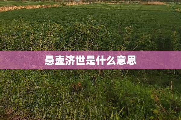 悬壶济世是什么意思