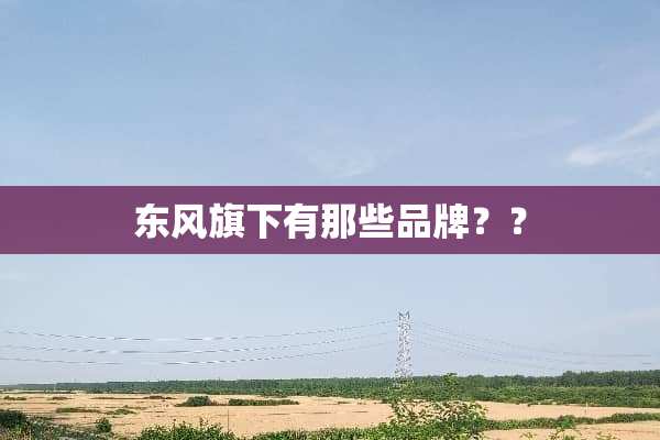 东风旗下有那些品牌？？