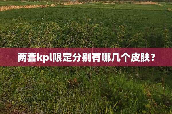 两套kpl限定分别有哪几个皮肤？