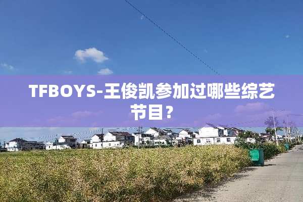 TFBOYS-王俊凯参加过哪些综艺节目？