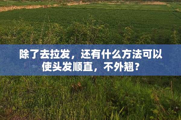 除了去拉发，还有什么方法可以使头发顺直，不外翘？