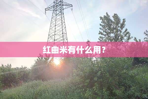 红曲米有什么用？