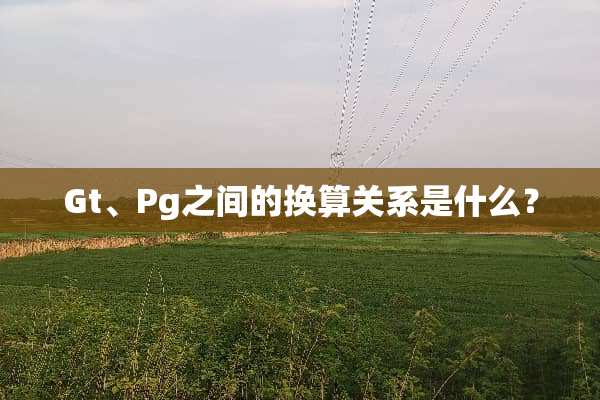 Gt、Pg之间的换算关系是什么？