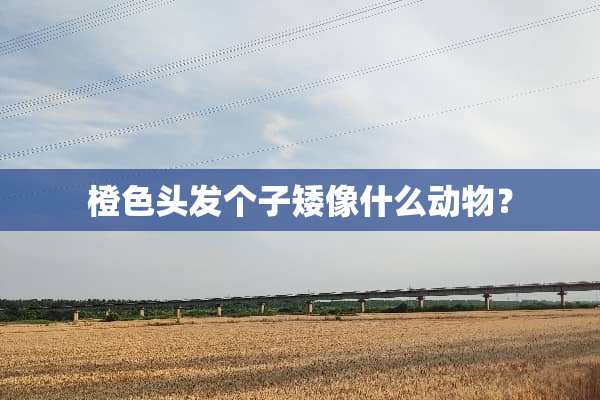 橙色头发个子矮像什么动物？