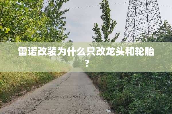 雷诺改装为什么只改龙头和轮胎？