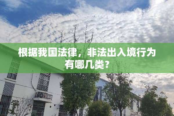 根据我国法律，非法出入境行为有哪几类？