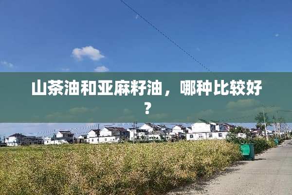 山茶油和亚麻籽油，哪种比较好？