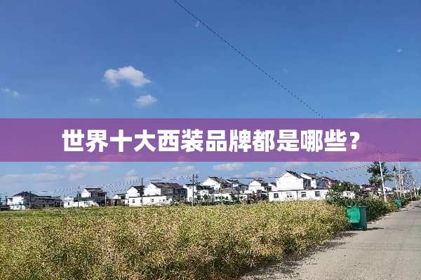 世界十大西装品牌都是哪些？