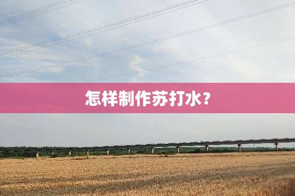 怎样制作苏打水？