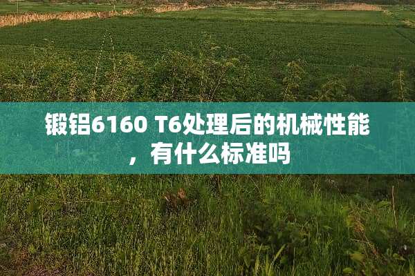 锻铝6160 T6处理后的机械性能，有什么标准吗
