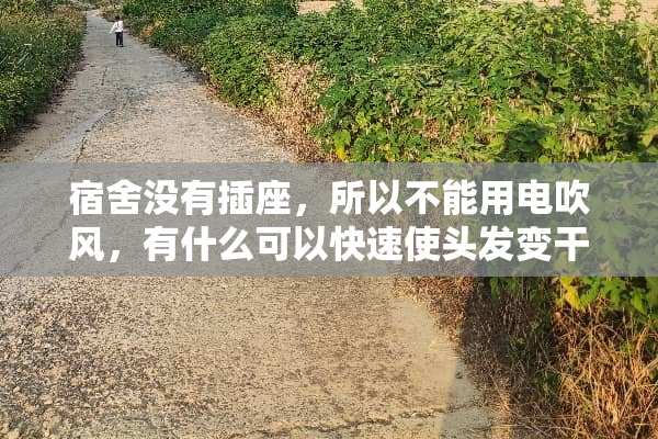 宿舍没有插座，所以不能用电吹风，有什么可以快速使头发变干的东西？