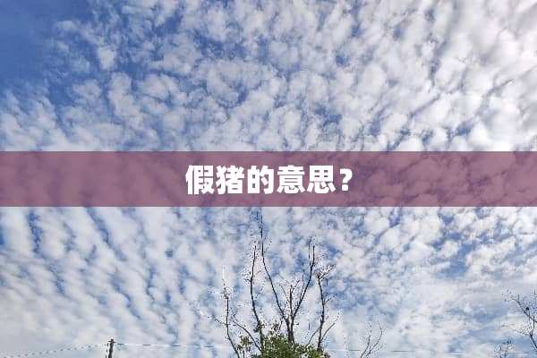 假猪的意思？