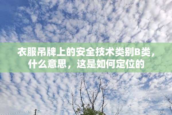 衣服吊牌上的安全技术类别B类，什么意思，这是如何定位的