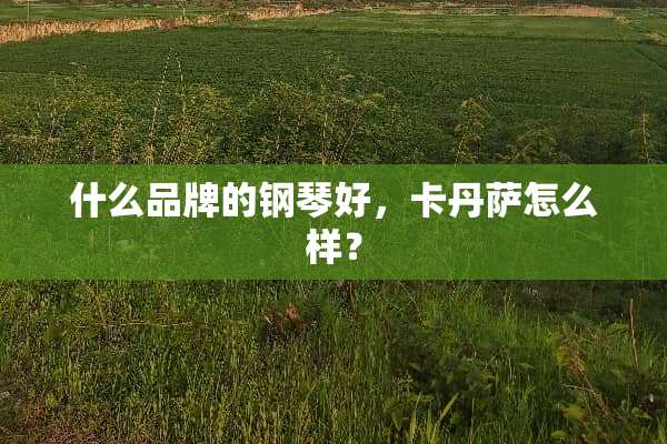 什么品牌的钢琴好，卡丹萨怎么样？
