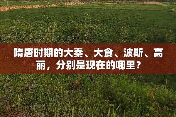 隋唐时期的大秦、大食、波斯、高丽，分别是现在的哪里？