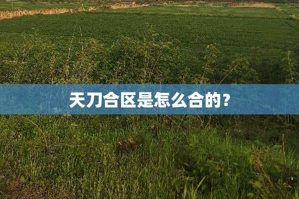天刀合区是怎么合的？