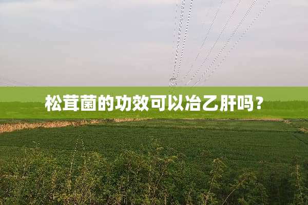 松茸菌的功效可以冶乙肝吗？
