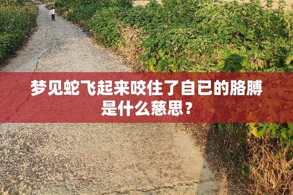 梦见蛇飞起来咬住了自已的胳膊是什么慈思？