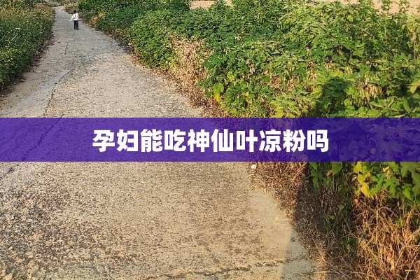 孕妇能吃神仙叶凉粉吗