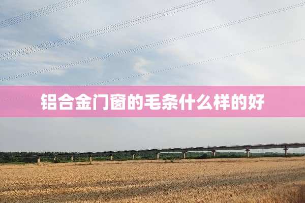 铝合金门窗的毛条什么样的好