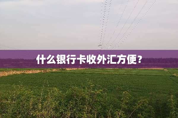 什么***收外汇方便？