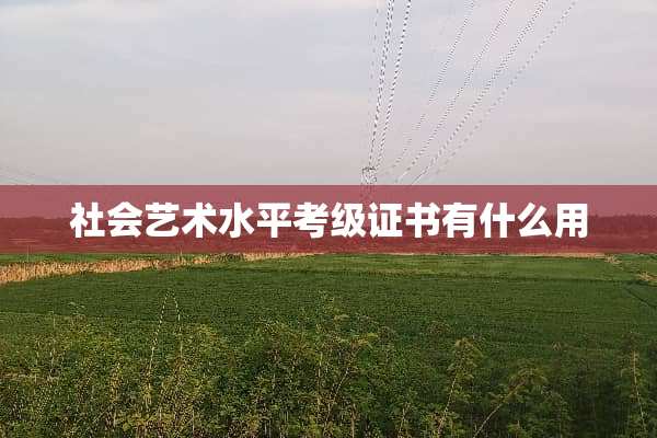 社会艺术水平考级证书有什么用