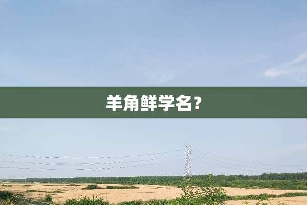 羊角鲜学名？