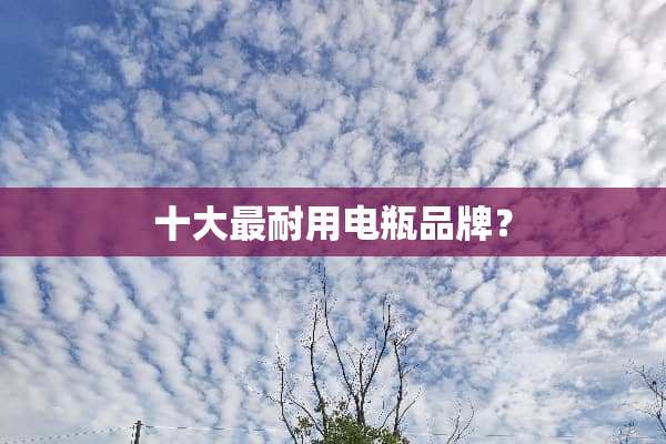 十大最耐用电瓶品牌？