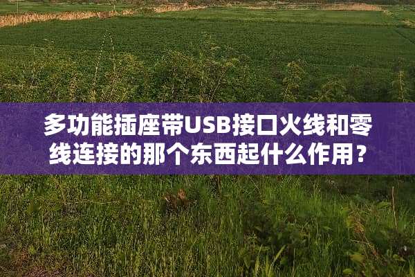 多功能插座带USB接口火线和零线连接的那个东西起什么作用？