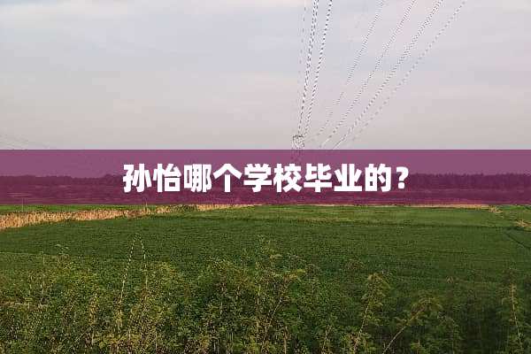 孙怡哪个学校毕业的？