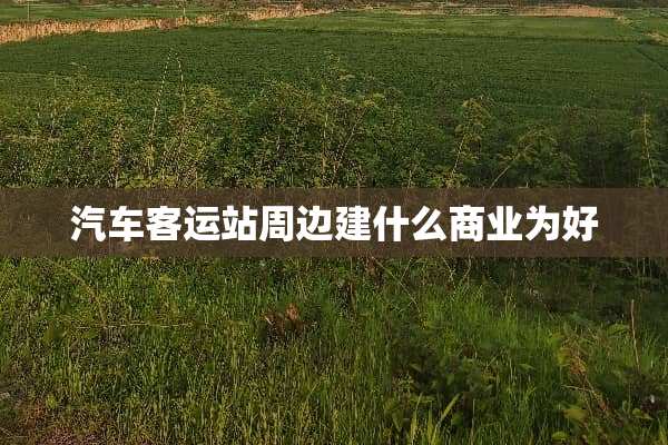 汽车客运站周边建什么商业为好