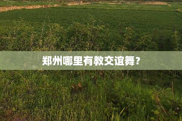 郑州哪里有教交谊舞？