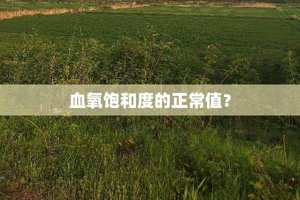 血氧饱和度的正常值？