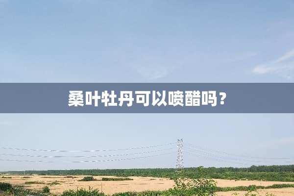 桑叶牡丹可以喷醋吗？