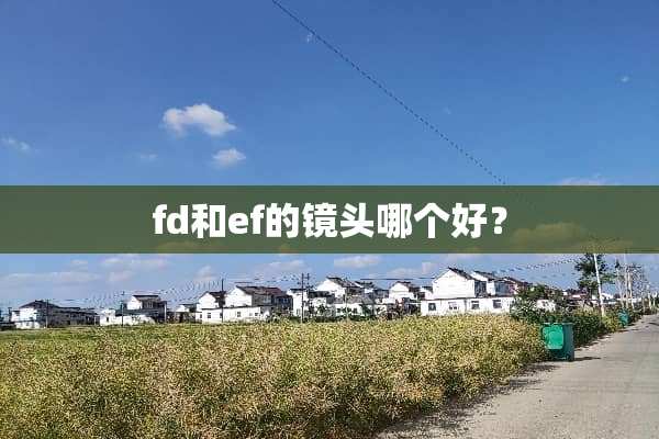 fd和ef的镜头哪个好？