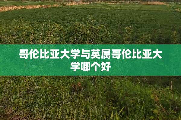 哥伦比亚大学与英属哥伦比亚大学哪个好