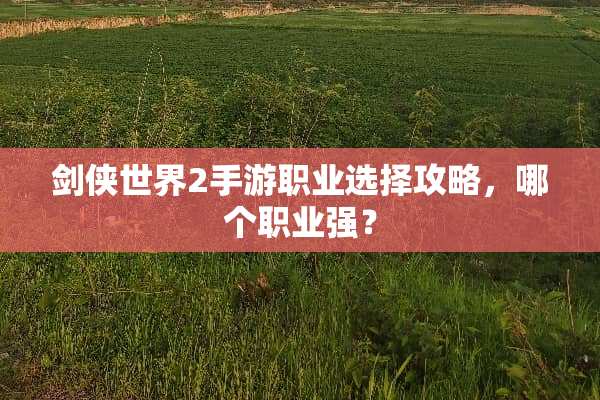 剑侠世界2手游职业选择攻略，哪个职业强？