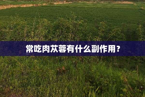 常吃肉苁蓉有什么副作用？