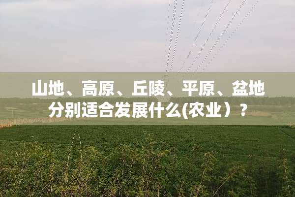 山地、高原、丘陵、平原、盆地分别适合发展什么(农业）？