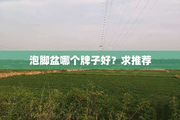 泡脚盆哪个牌子好？求推荐