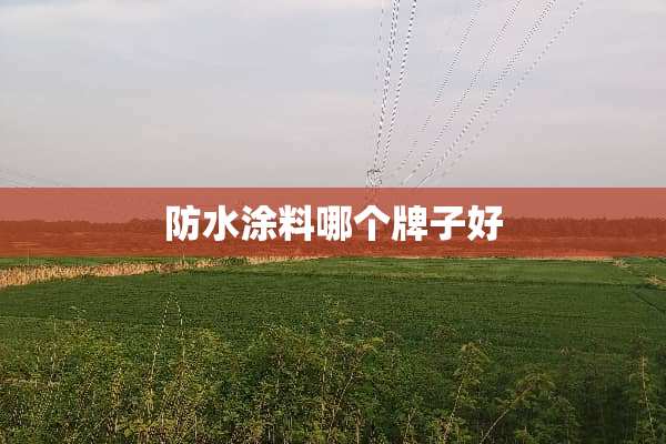 防水涂料哪个牌子好