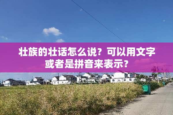 壮族的壮话怎么说？可以用文字或者是拼音来表示？