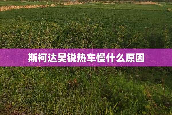 斯柯达昊锐热车慢什么原因