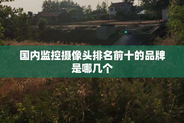 国内监控**头排名前十的品牌是哪几个