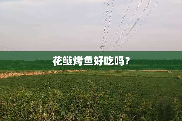 花鲢烤鱼好吃吗？