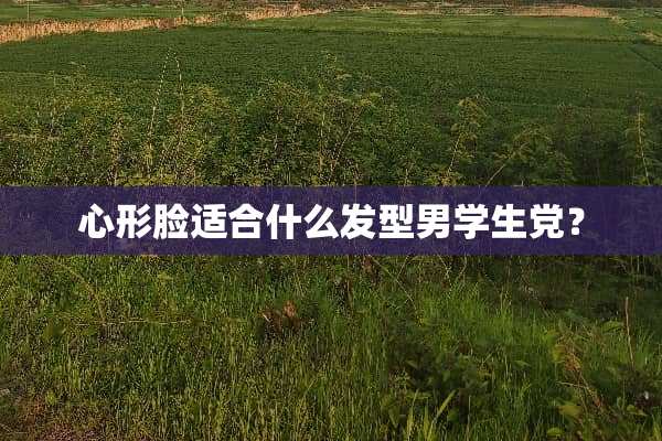 心形脸适合什么发型男学生党？