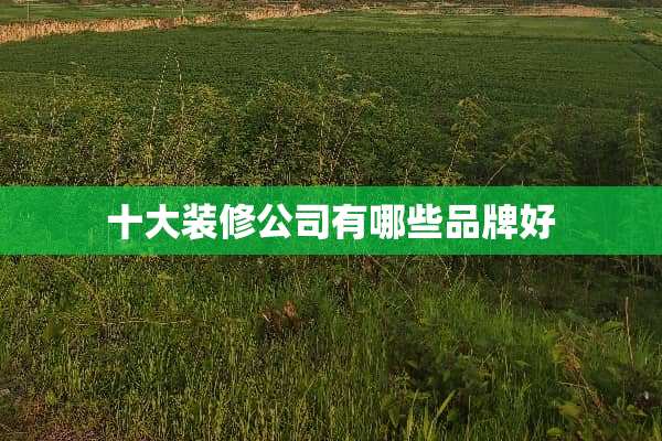 十大装修公司有哪些品牌好