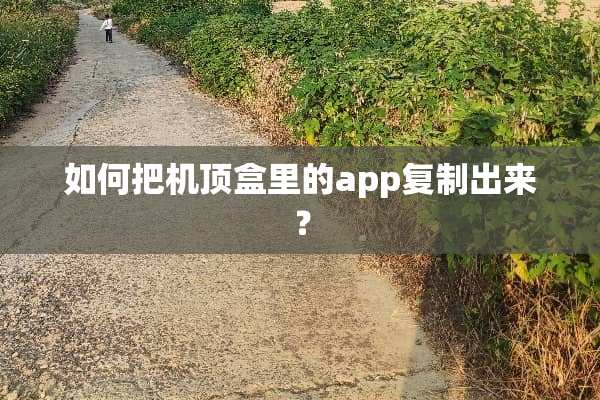 如何把机顶盒里的app复制出来？