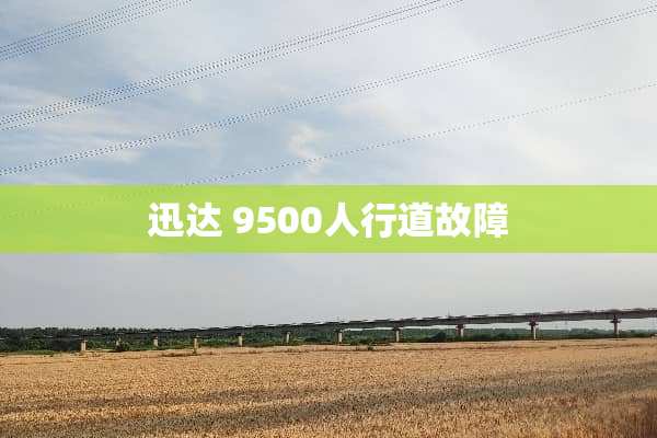 迅达 9500人行道故障