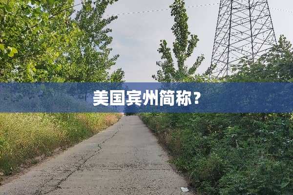 美国宾州简称？